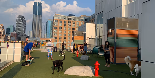 Bok Building Dog Park photo 1